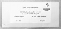 Image Associated With the Occurence